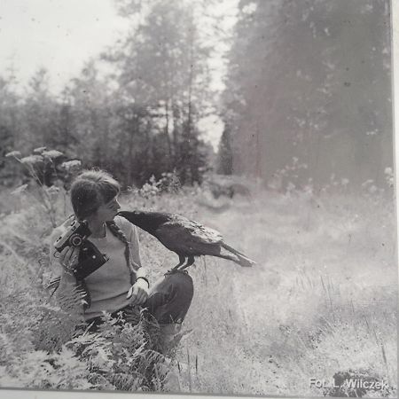 In Nature Białowieża Eksteriør bilde