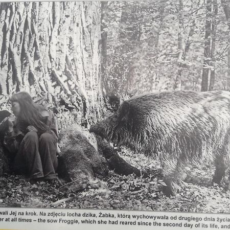 In Nature Białowieża Eksteriør bilde