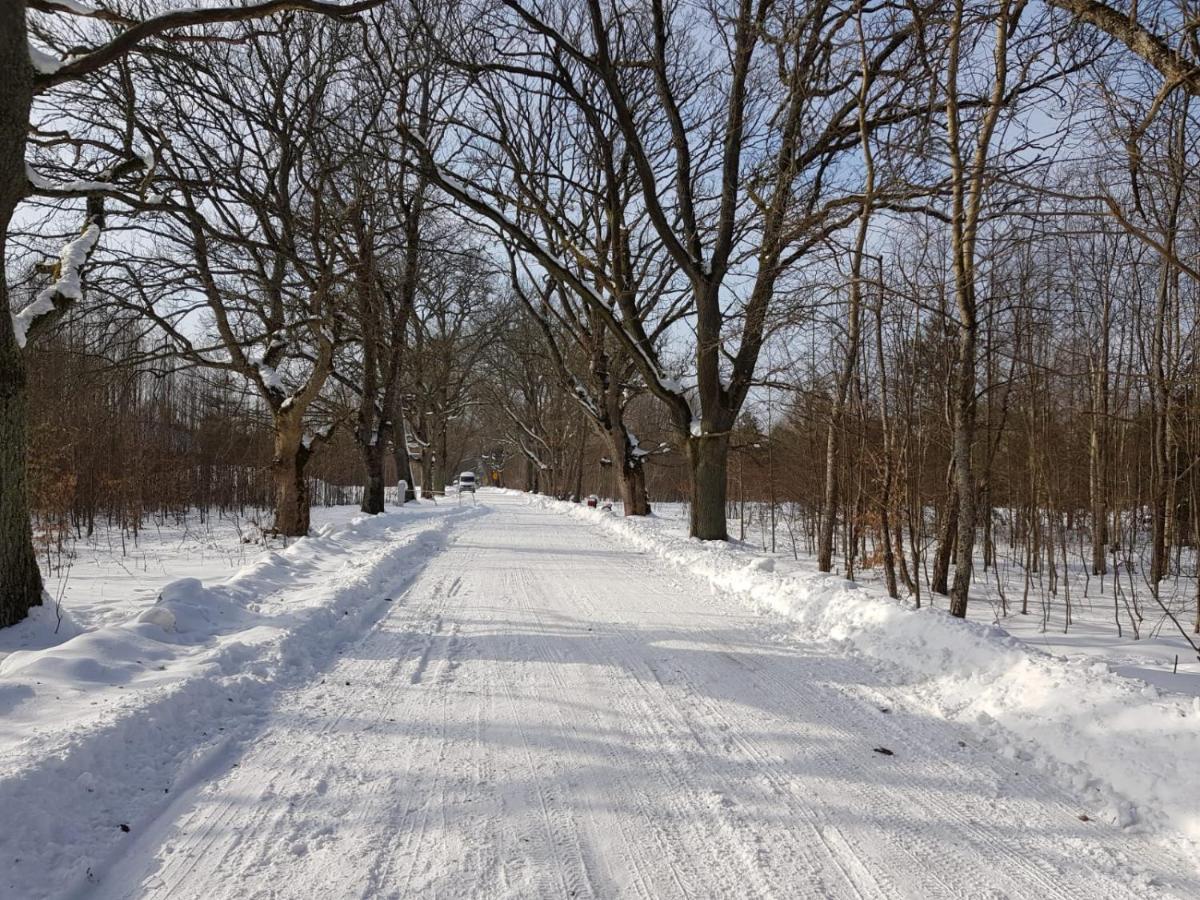 In Nature Białowieża Eksteriør bilde