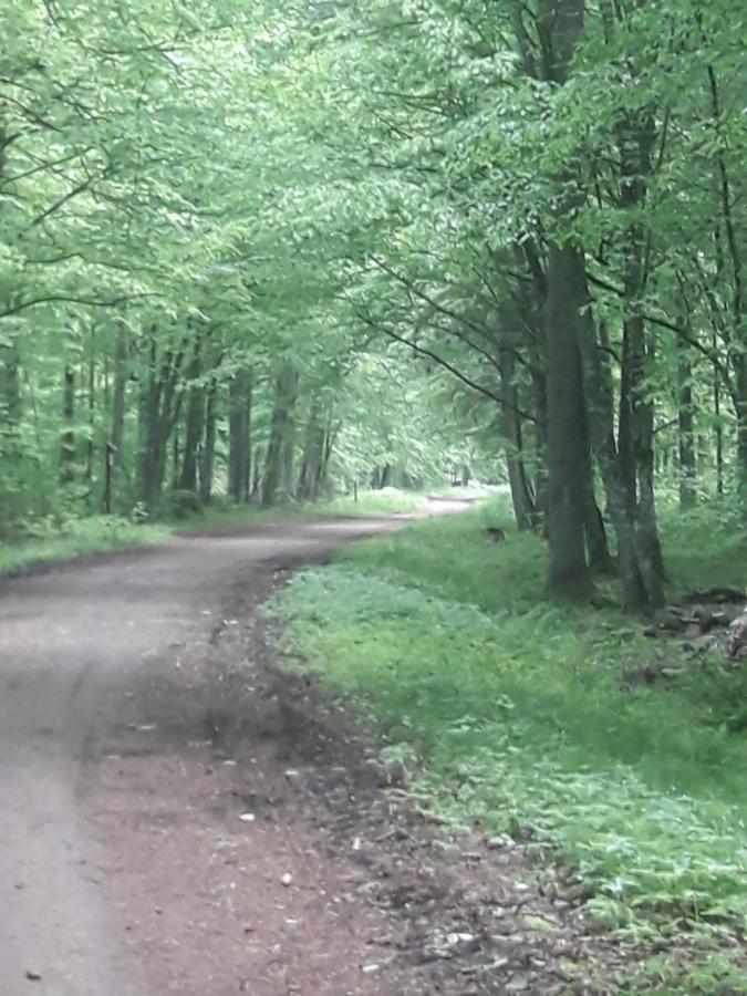 In Nature Białowieża Eksteriør bilde