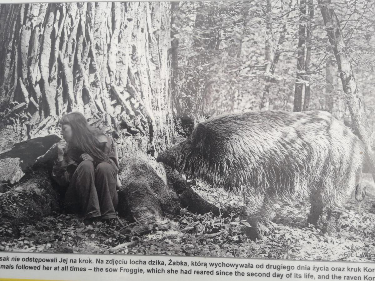 In Nature Białowieża Eksteriør bilde