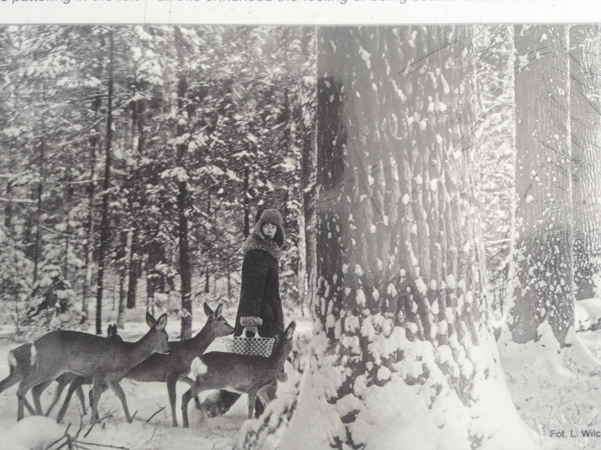 In Nature Białowieża Eksteriør bilde