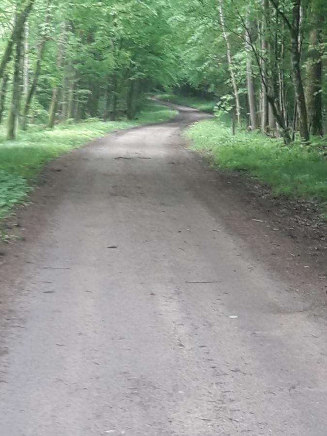 In Nature Białowieża Eksteriør bilde