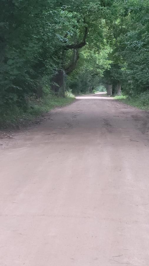 In Nature Białowieża Eksteriør bilde