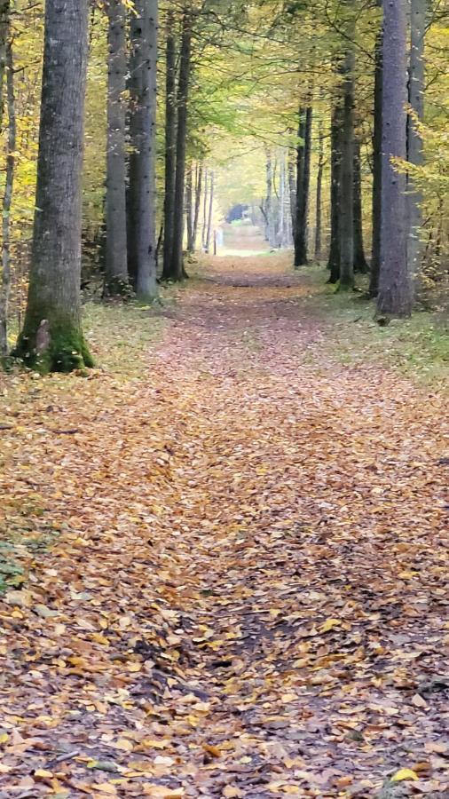 In Nature Białowieża Eksteriør bilde